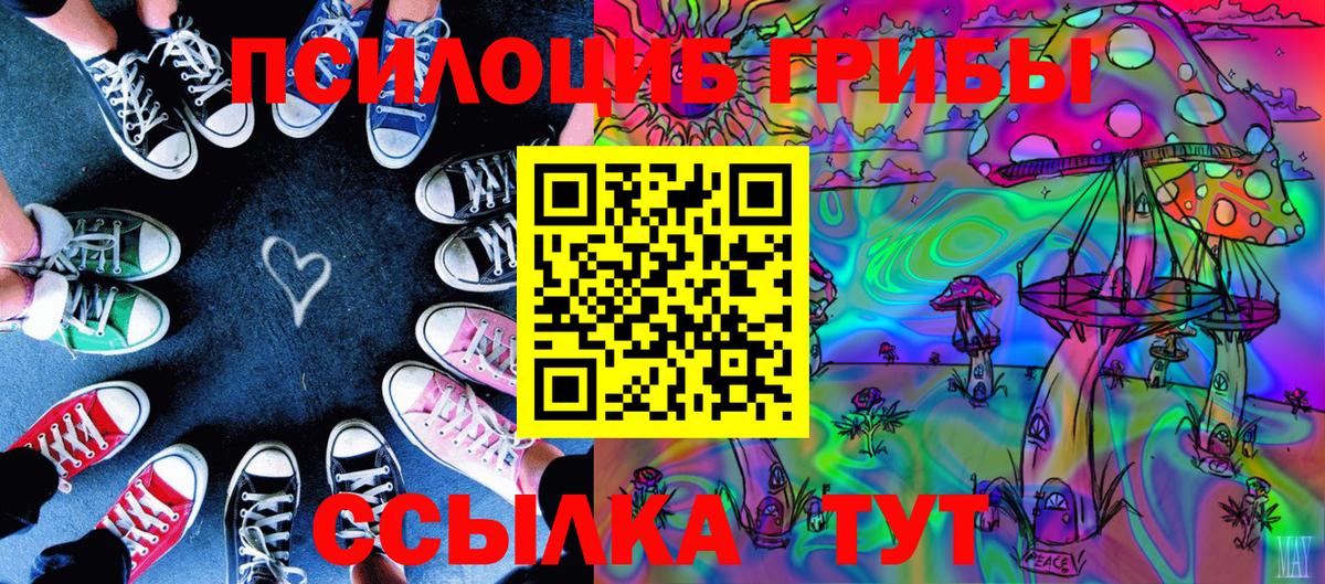 Псилоцибиновые грибы MAGIC MUSHROOMS  Псилоцибиновые грибы Psilocybe  Лыткарино  Вход с VPN 