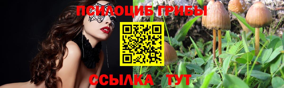 Галлюциногенные грибы ЛСД Лыткарино